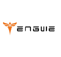 Engwe EU