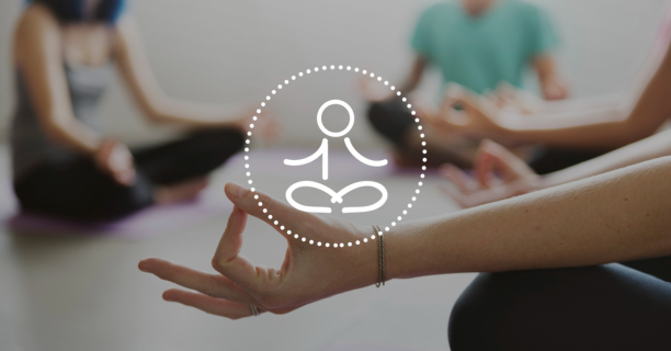 Holistic Wellness Starts with Triquetra Health