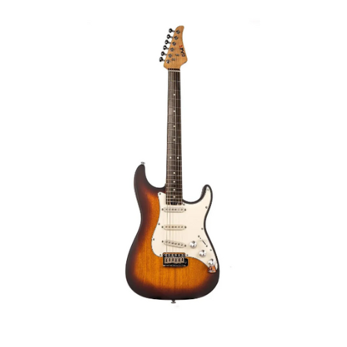 Vintage Electric Guitars